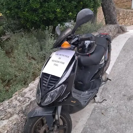 Joni A2