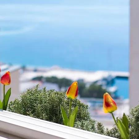 Apartmán Joni A2 *